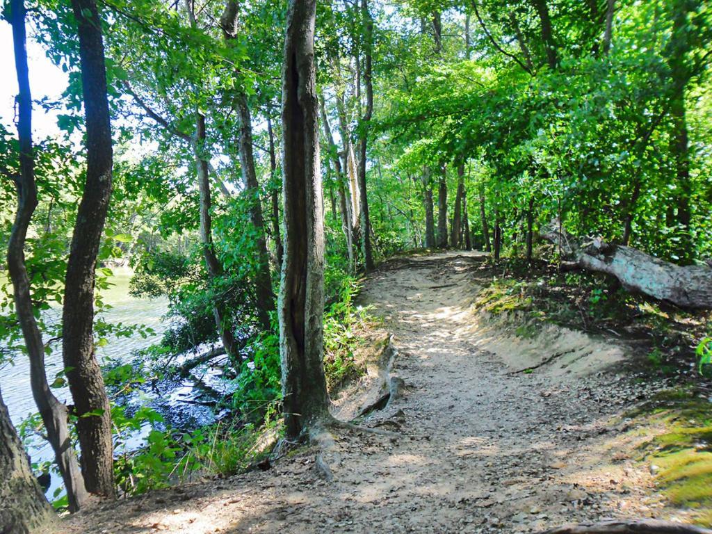 Private Boho Bungalow 10 Minutes To Downtown Rva! 里士满 外观 照片
